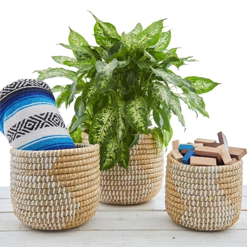 12" Small Grass Ribbon Planter Shelf Basket