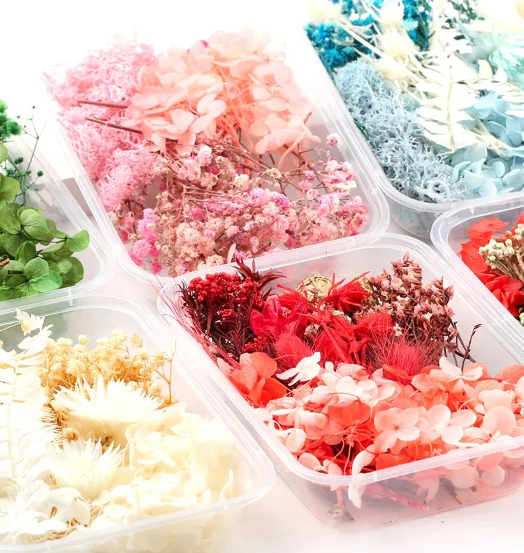 ELMAS Dried Flower Craft Kit for Candle & Epoxy Resin Decor