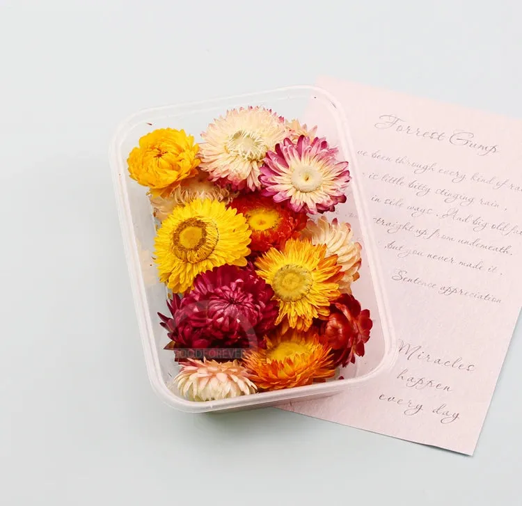 ELMAS Dried Flower Craft Kit for Candle & Epoxy Resin Decor