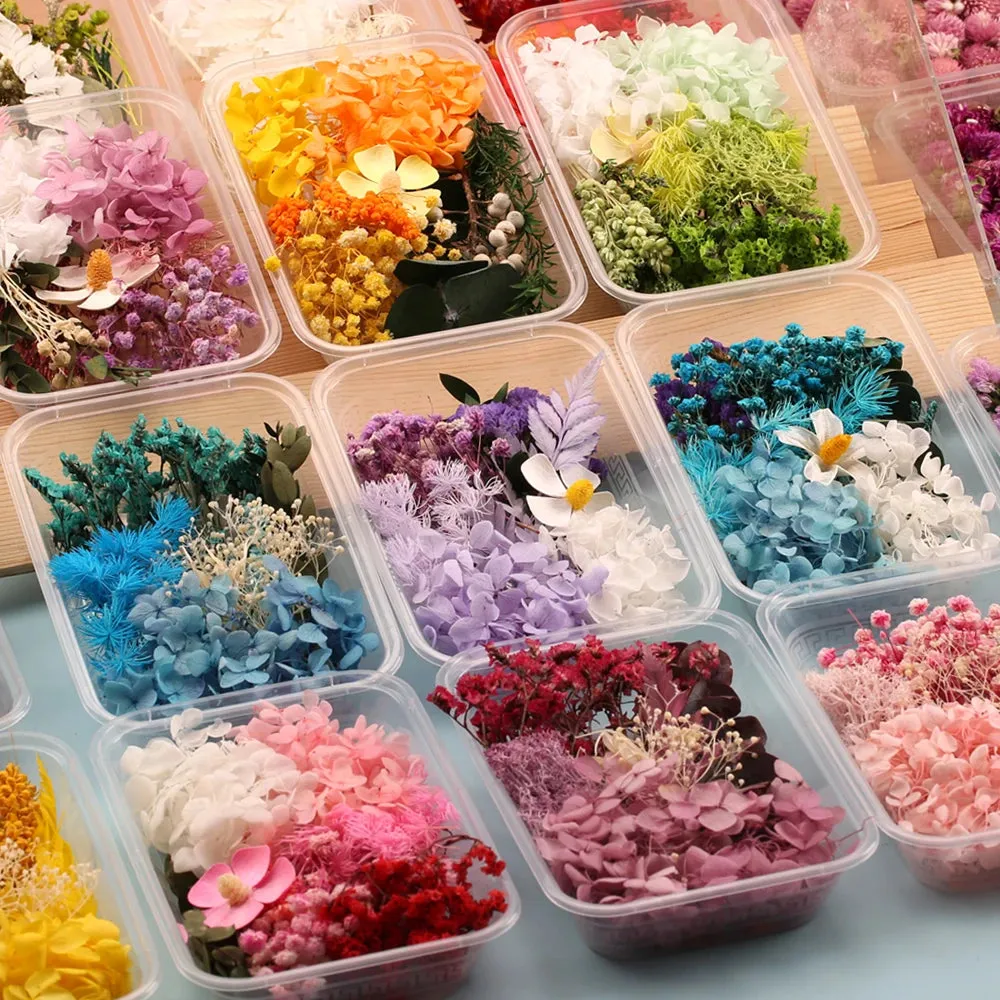 ELMAS Dried Flower Craft Kit for Candle & Epoxy Resin Decor