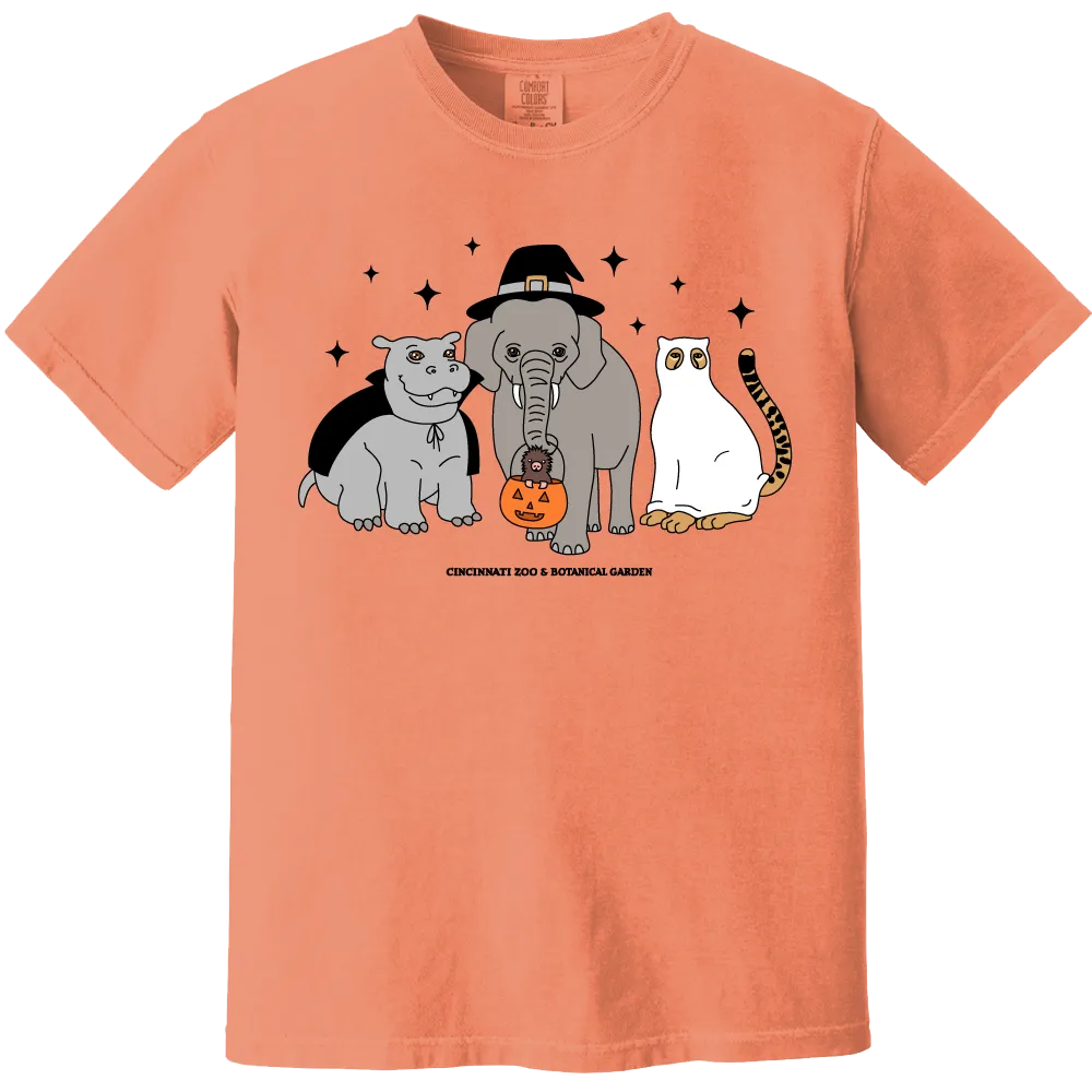 HallZOOween Costumes - Comfort Colors®