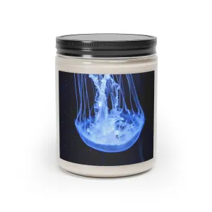 Jellyfish Scented Candle, 9oz