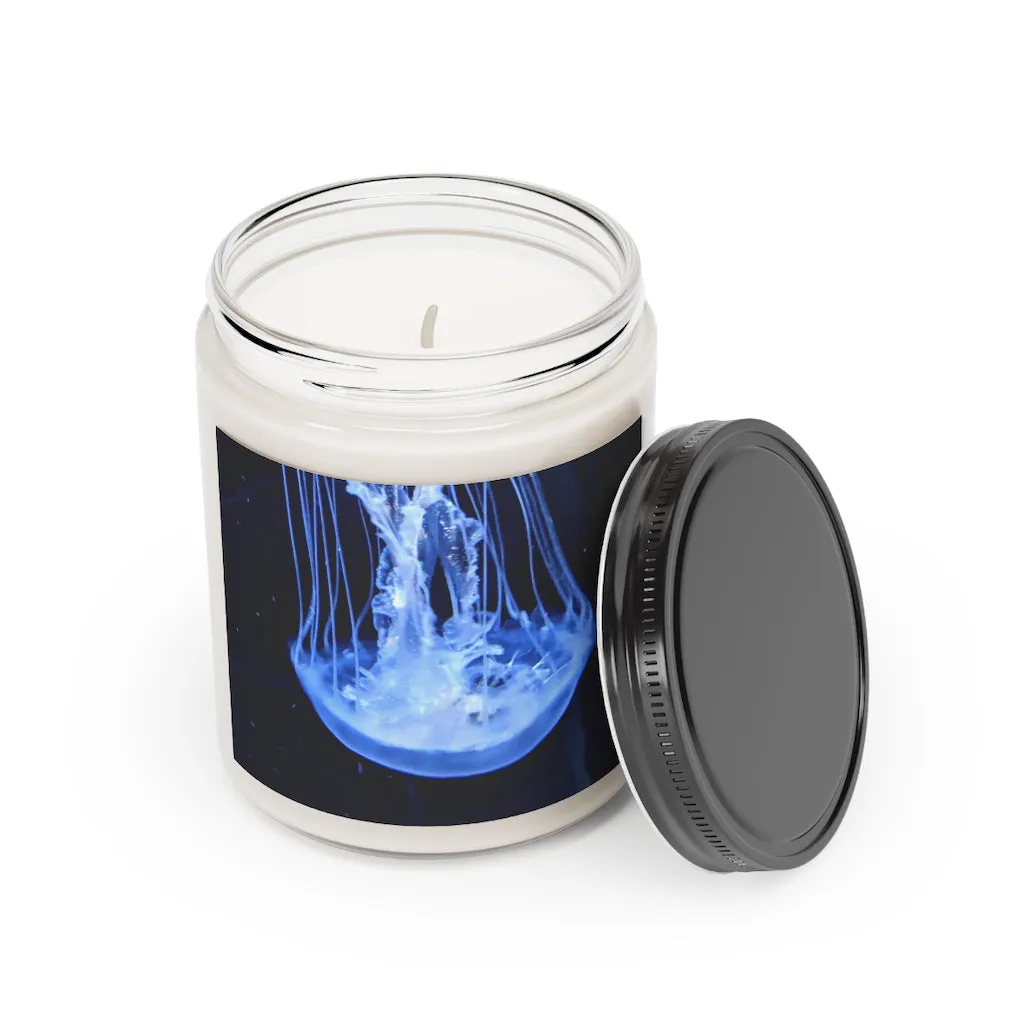 Jellyfish Scented Candle, 9oz