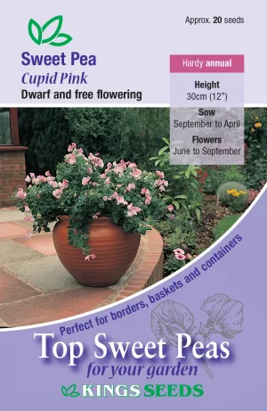 Kings Seeds Sweet Pea Cupid Pink Seeds