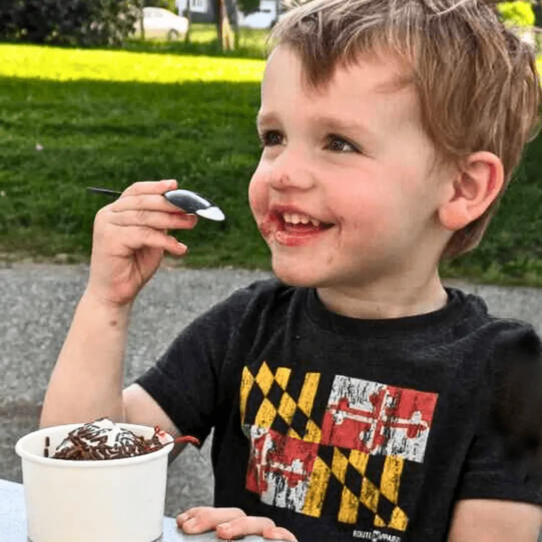 Maryland Flag (Vintage Smoke) / *Toddler* Shirt