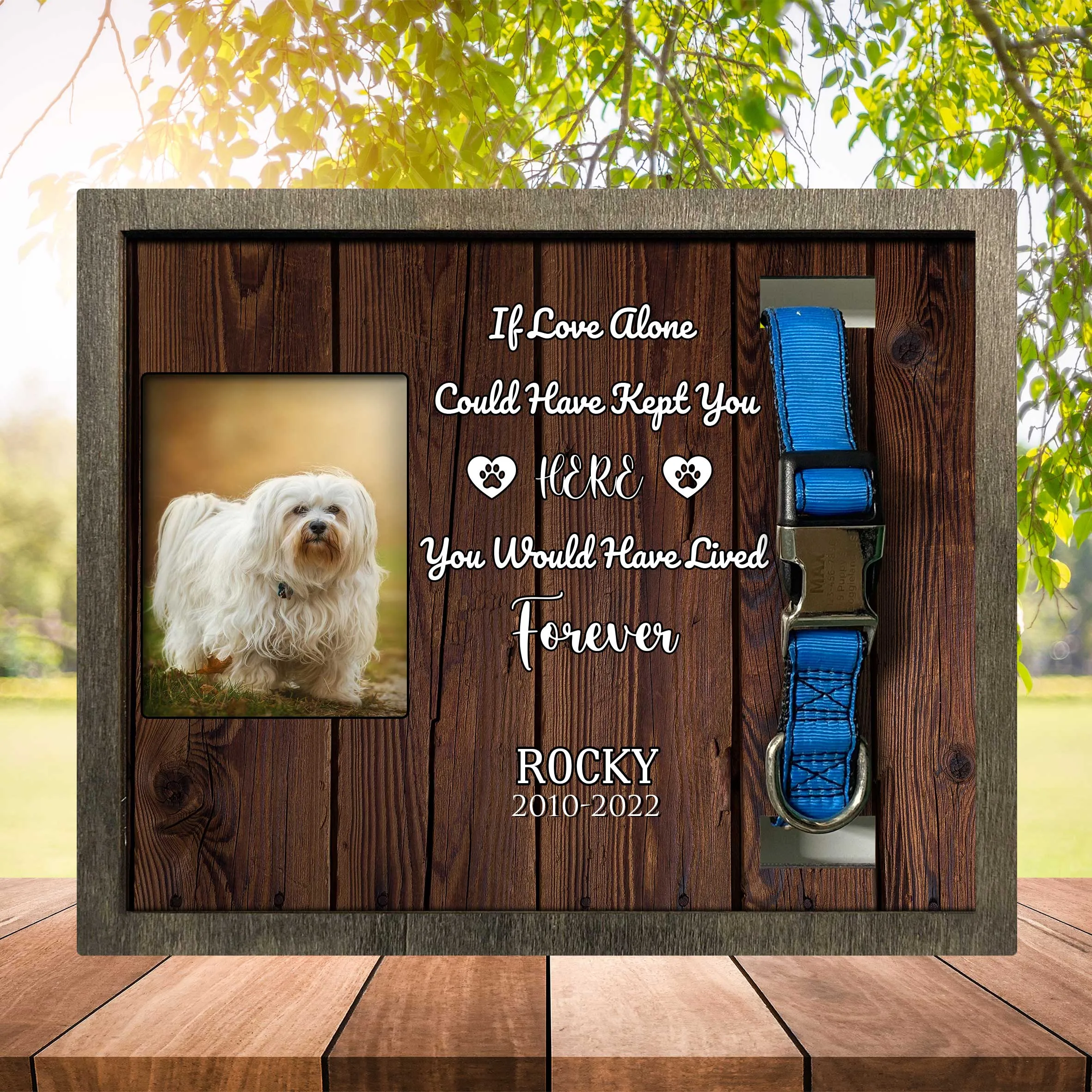 Memorial Picture Frame For Lost Of Havanese, Memorial Frame For Pet Lovers