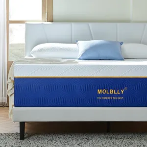 Molblly Queen Mattress, 10 Inch Cooling-Gel Memory Foam Mattress Bed in a Box,Cool Queen Bed Supportive & Pressure Relief with Breathable Soft Fabric Cover,Premium