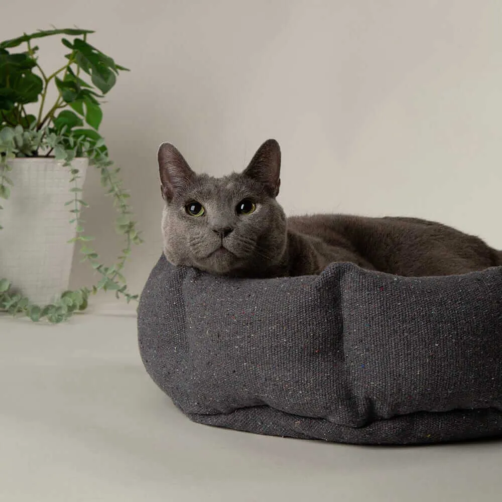 Scruffs Eden Cat Bed