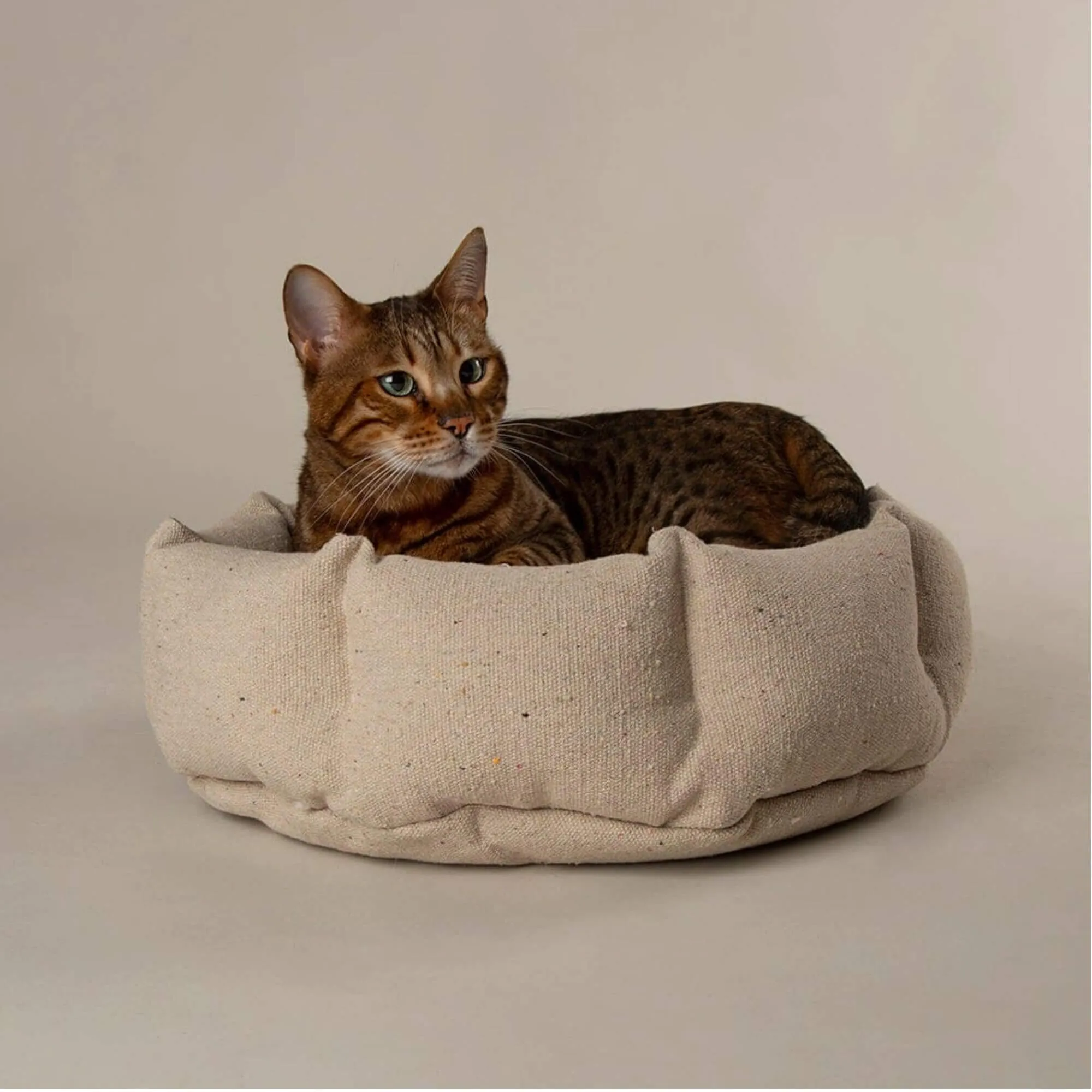 Scruffs Eden Cat Bed