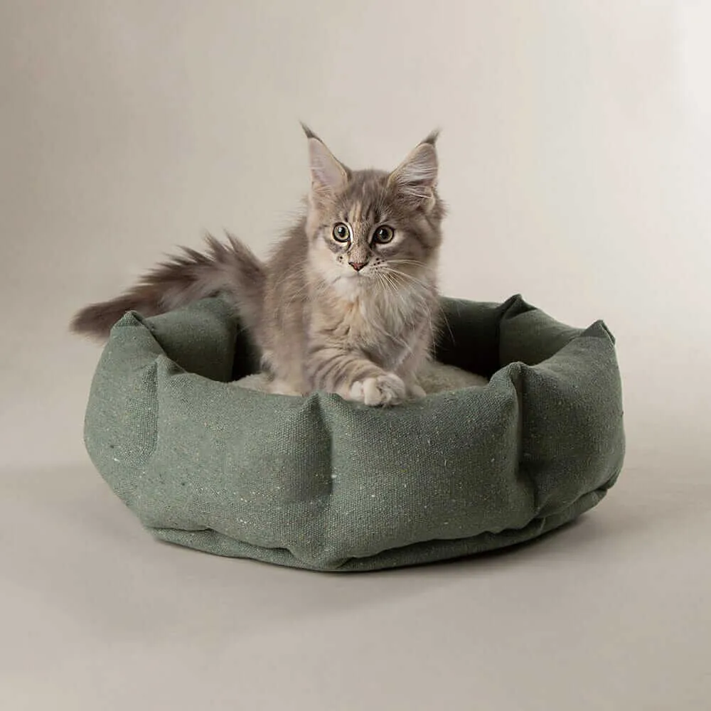 Scruffs Eden Cat Bed