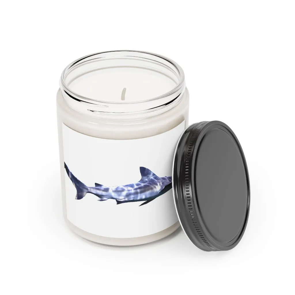 Shark Scented Candle, 9oz