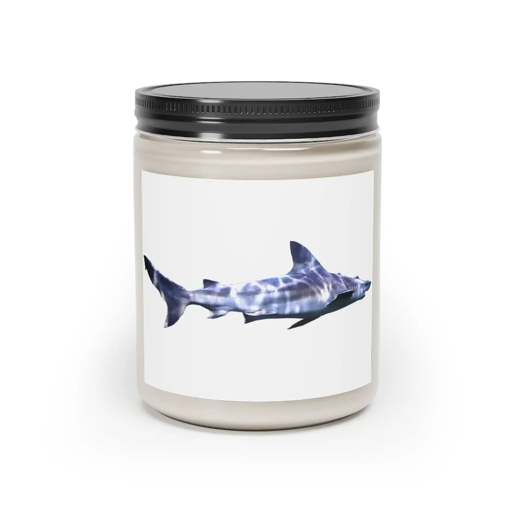 Shark Scented Candle, 9oz