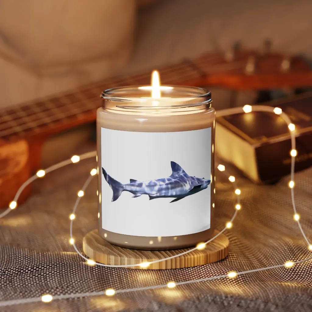 Shark Scented Candle, 9oz