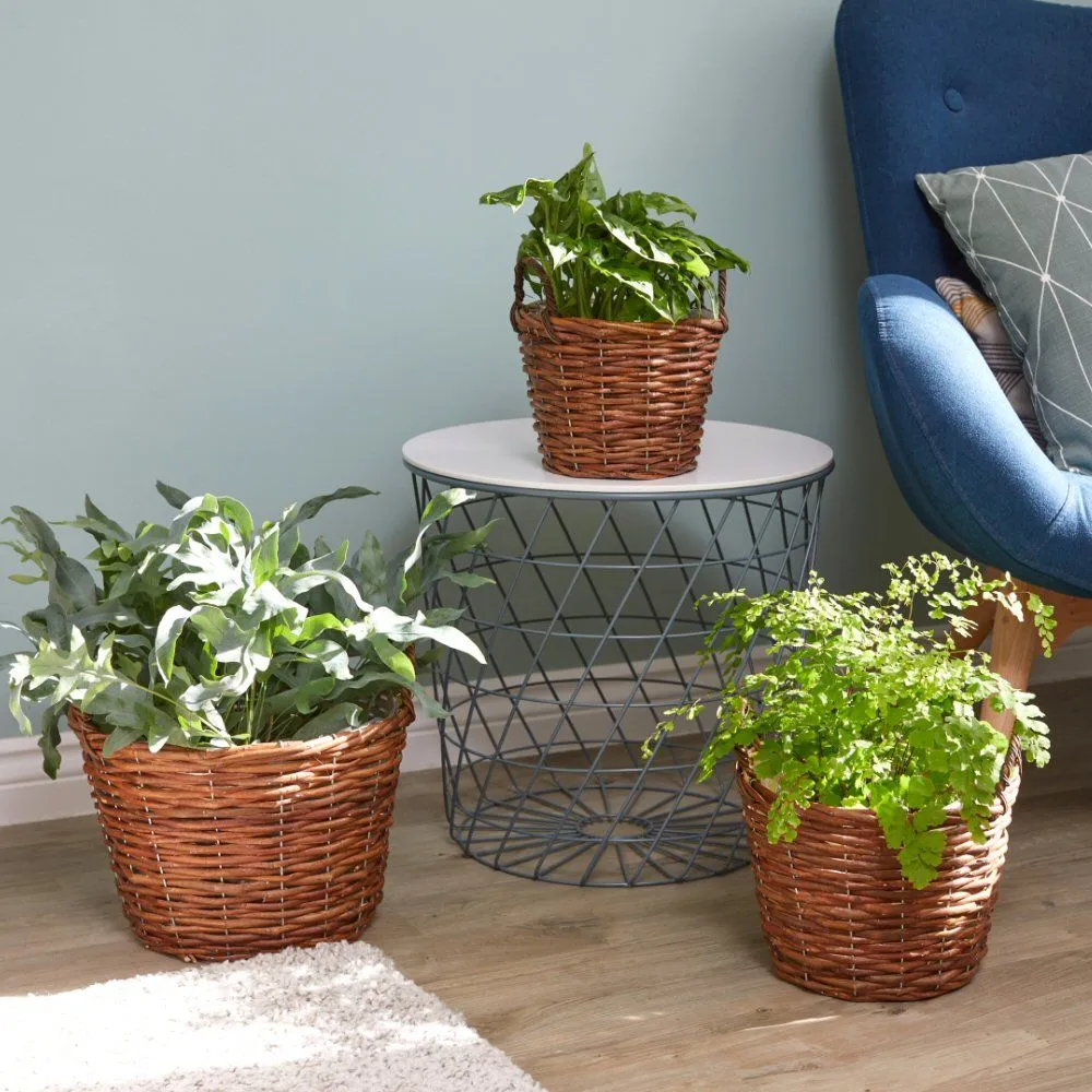 Smart Garden Rattan Decor Basket Trio