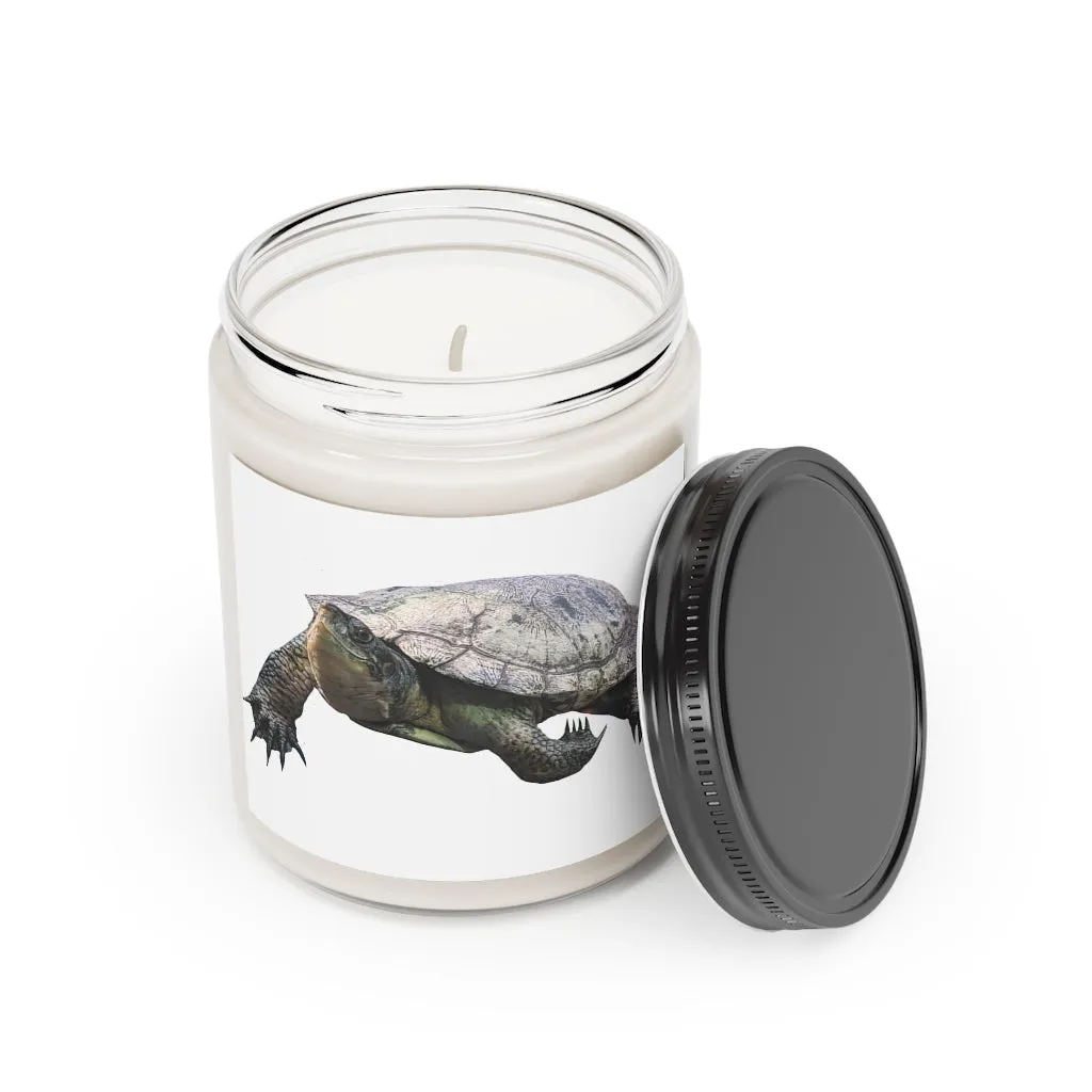 Turtle Scented Candle, 9oz