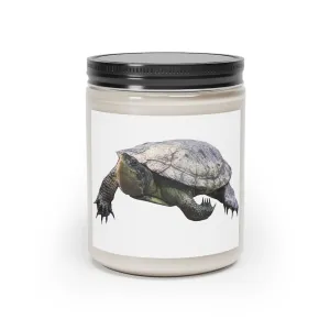 Turtle Scented Candle, 9oz