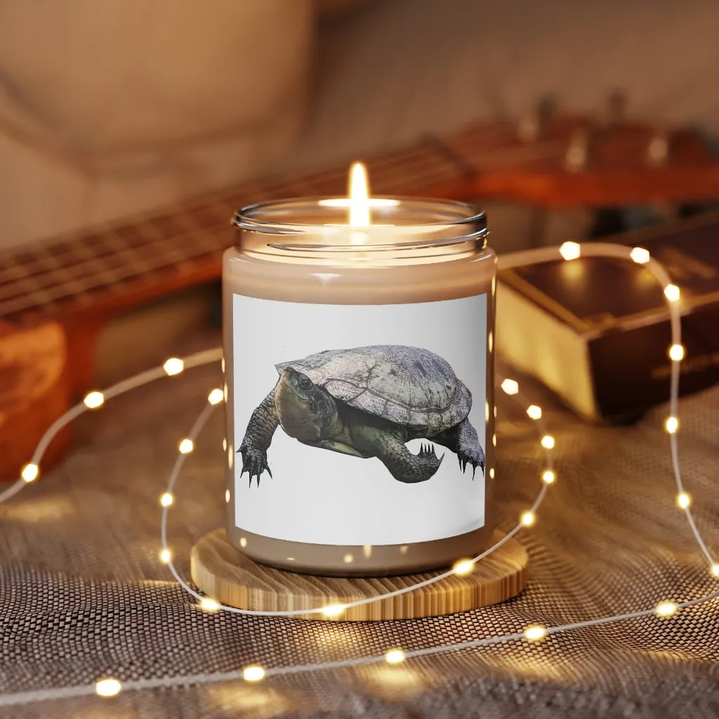 Turtle Scented Candle, 9oz