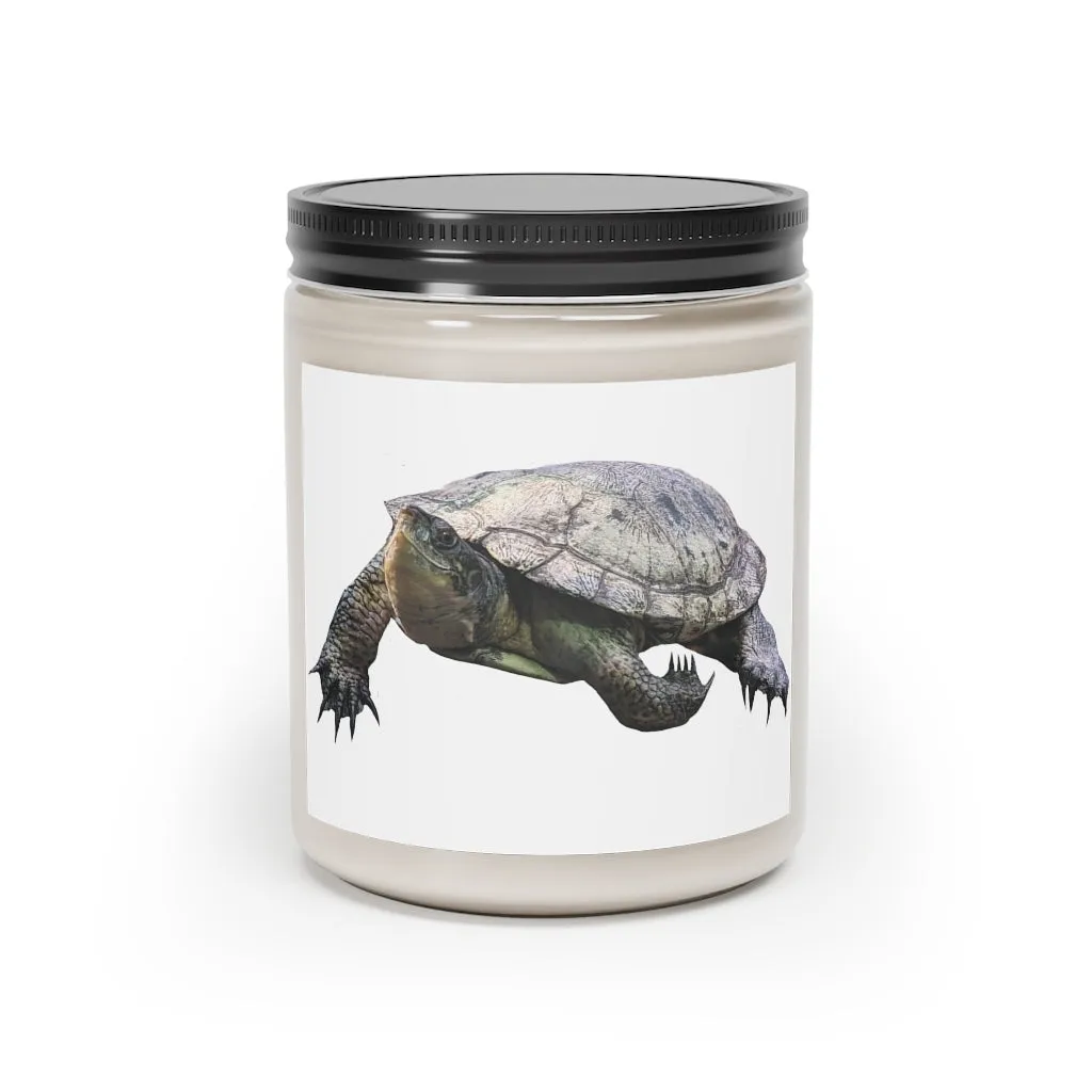 Turtle Scented Candle, 9oz