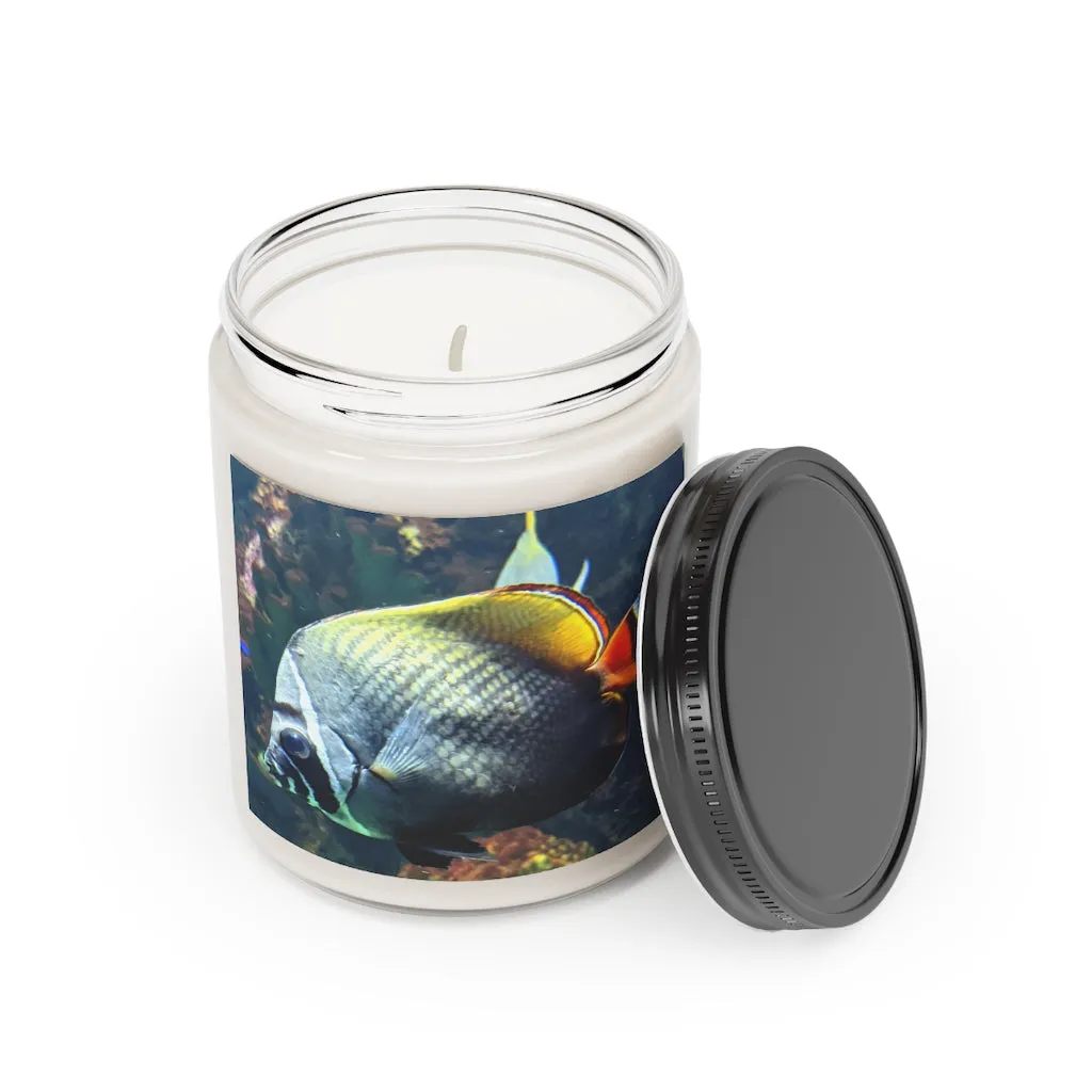 White Black Fish Scented Candle, 9oz