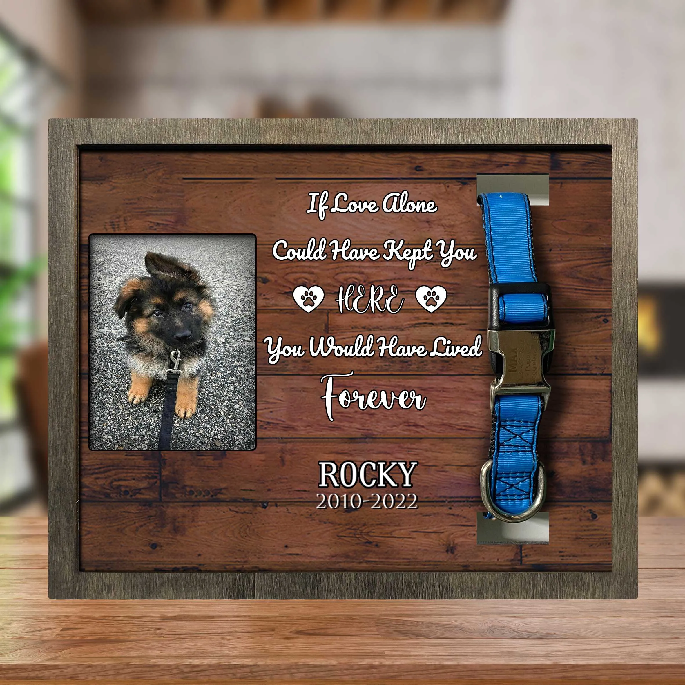 You Were My Favorite Hello And My Hardest Goodbye, Dog Death Sympathy Gifts, Memorial Frame