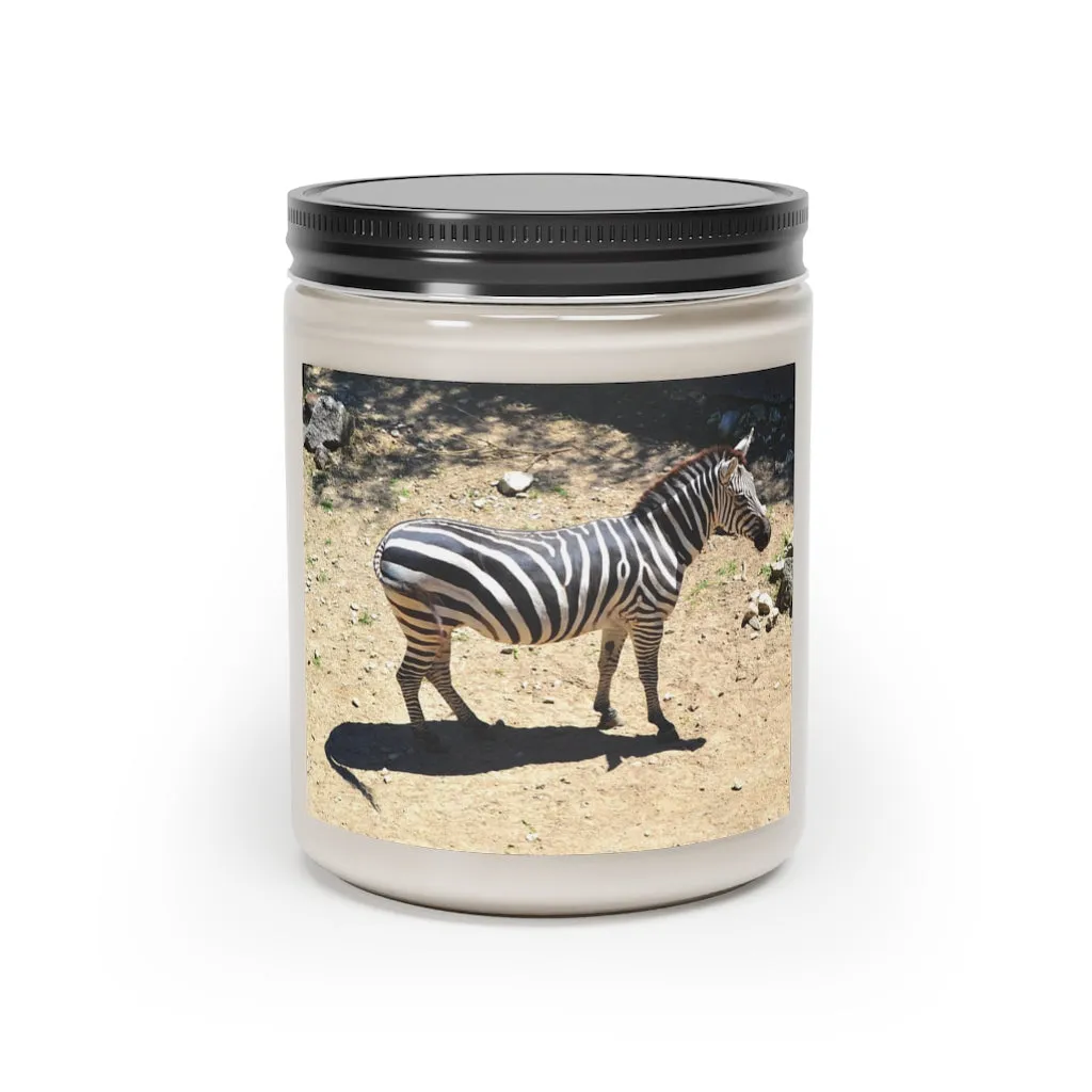 Zebra Scented Candle, 9oz