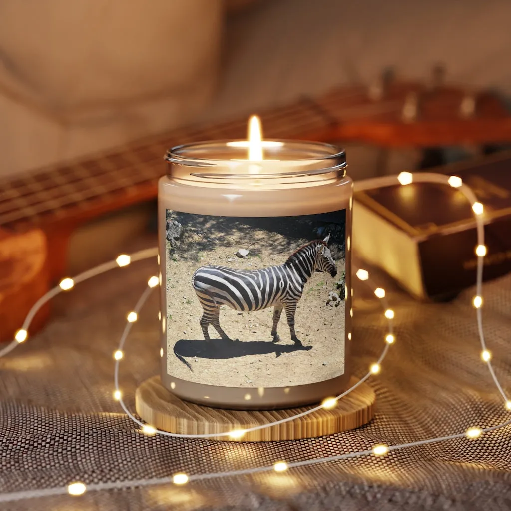 Zebra Scented Candle, 9oz