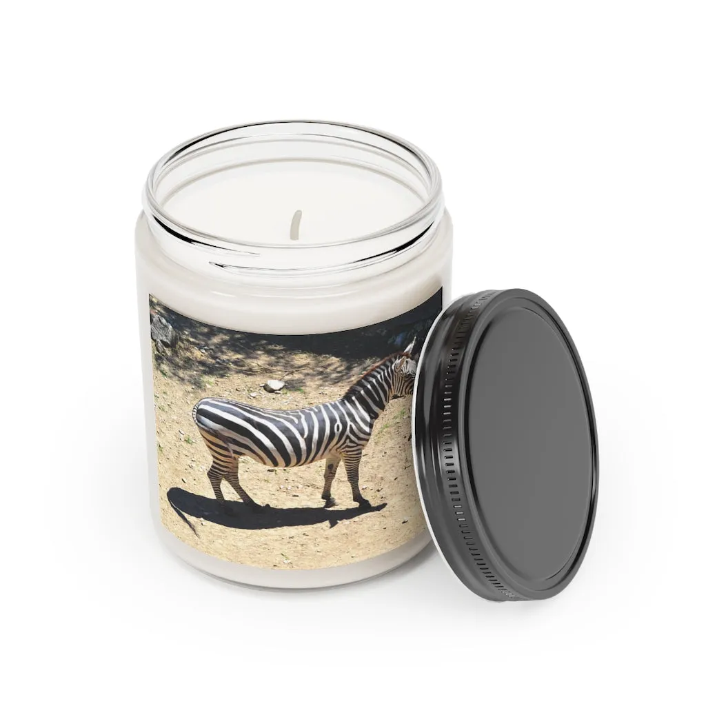 Zebra Scented Candle, 9oz